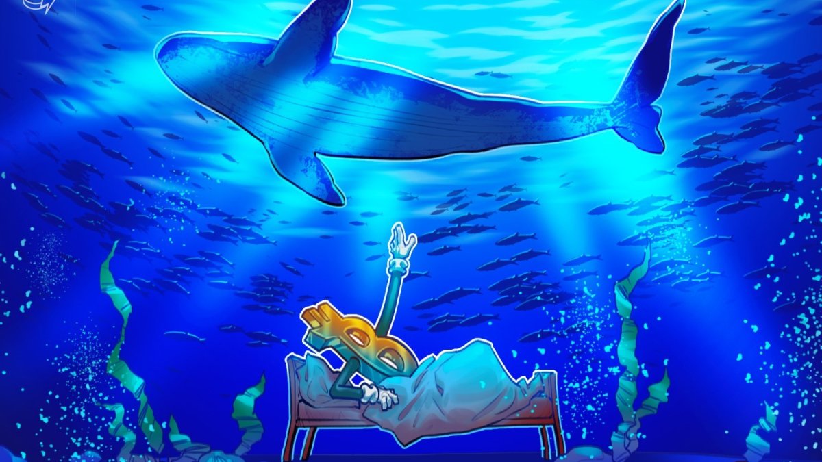 Binance BTC outflows hit highest since mid-2023 as whales deposit stablecoins